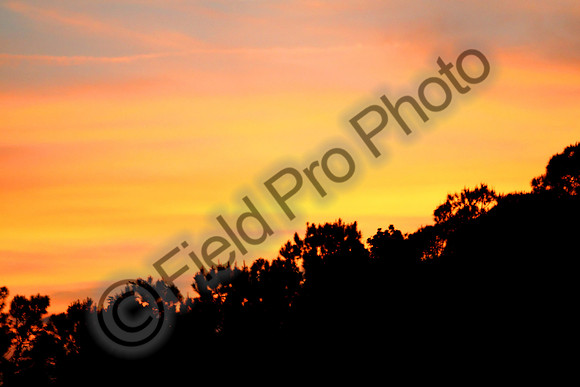 AWB_IMG_0197