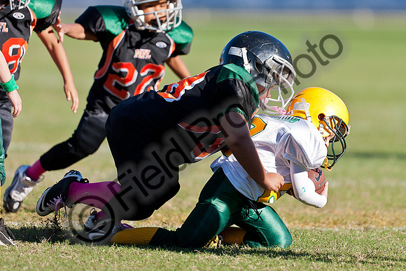 059-FPP40039