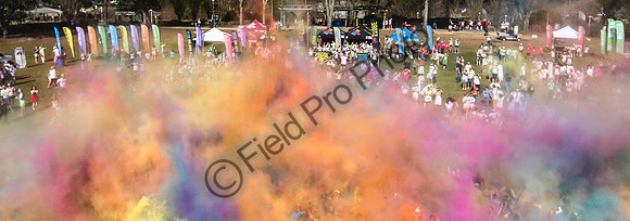 046-FPP50273