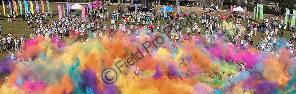 042-FPP50268