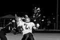 019-FPP40079