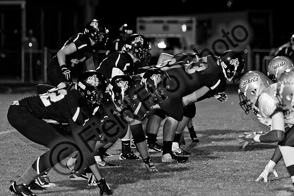 014-FPP40073