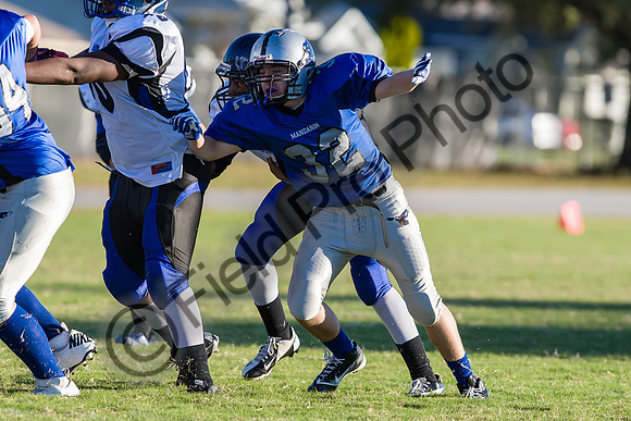 043-FPP60219