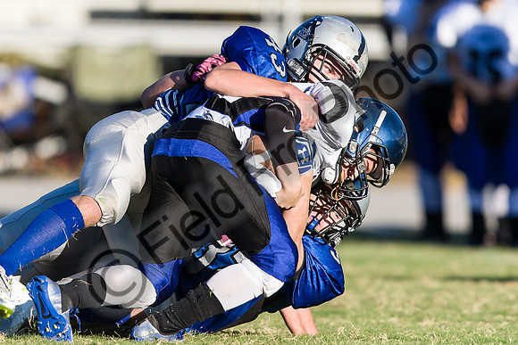 042-FPP50109