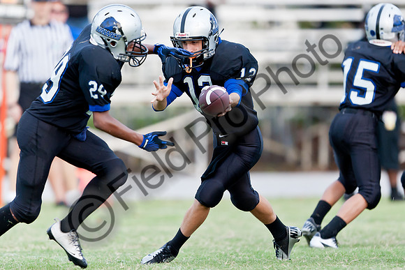 085-FPP50295