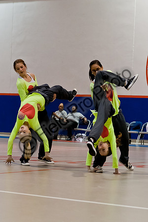 019-FPP60463