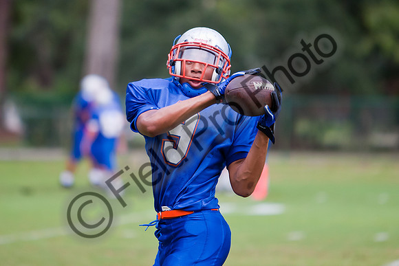 009-FPP10016