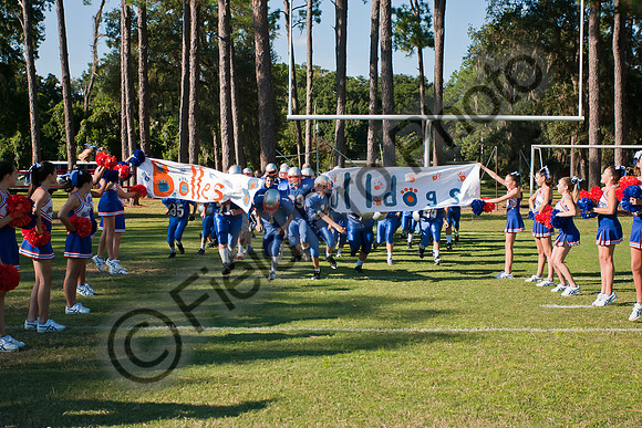006-FPP40113