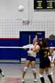 020-IMG_0030