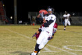 013-IMG_0077
