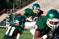 THW-012-IMG_0031