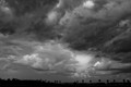 JHB_IMG_1052.jpg