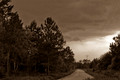 JHB_IMG_1046.jpg